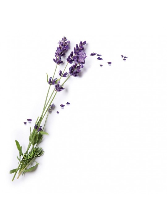 Osvežilec za sesalec Levander - Shake