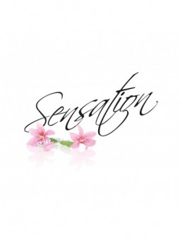 Dišava za omaro Sensation