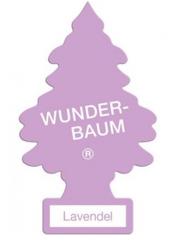 Wunder-Baum - Lavender